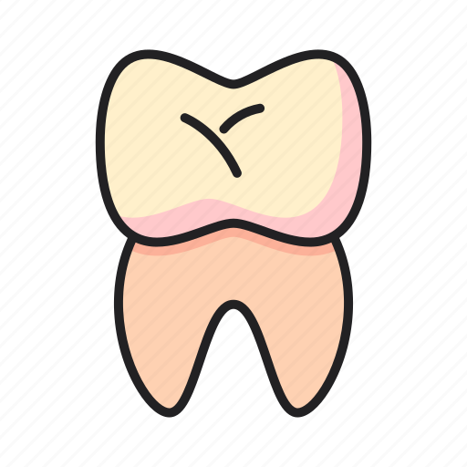 Tooth, dentist, dental, human, body icon - Download on Iconfinder