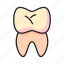 tooth, dentist, dental, human, body 