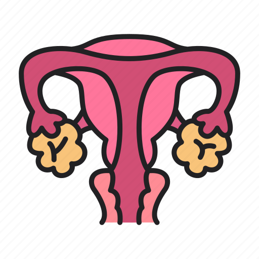 Uterus, ovaries, organ, anatomy icon - Download on Iconfinder