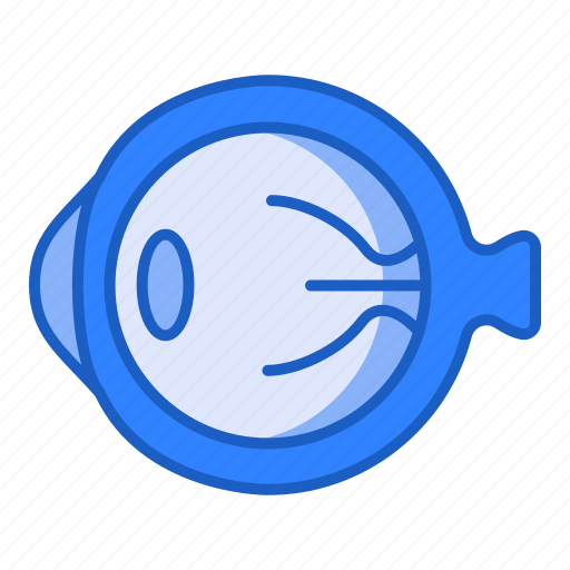 Eye, eyeball, organ, anatomy icon - Download on Iconfinder