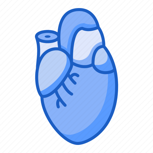 Heart, organ, anatomy, transplant icon - Download on Iconfinder