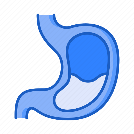 Stomach, digestion, organ, human, body icon - Download on Iconfinder