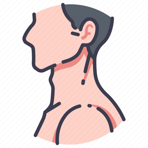 Anatomy, body, head, human, medical, neck, people icon - Download on Iconfinder