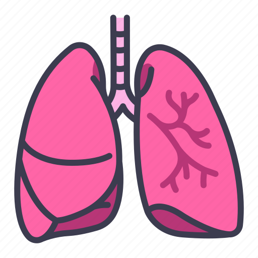 Body, health, human, internal, lung, medical, organ icon - Download on Iconfinder