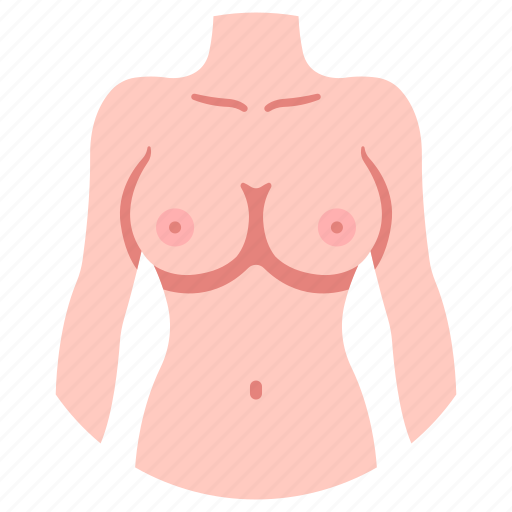 Anatomy, body, diet, female, fitness, sexy, slim icon - Download on Iconfinder