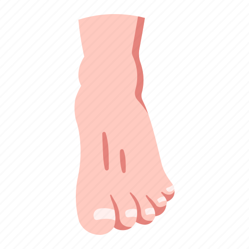 Anatomy, barefoot, body, foot, human, people, toe icon - Download on Iconfinder