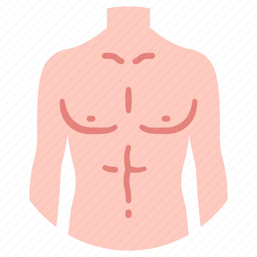 Anatomy, body, human, male, people, person icon - Download on Iconfinder
