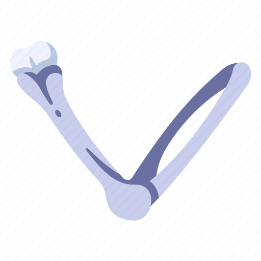 Anatomy, arm, body, bone, human, joint, skeleton icon - Download on Iconfinder