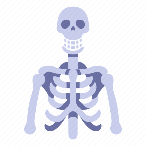 Anatomy, body, bone, bones, human, skeleton, skull icon - Download on Iconfinder