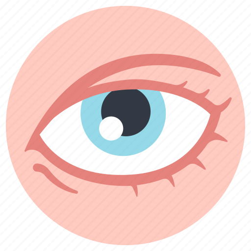 Body, eye, eyesight, human, iris, vision icon - Download on Iconfinder