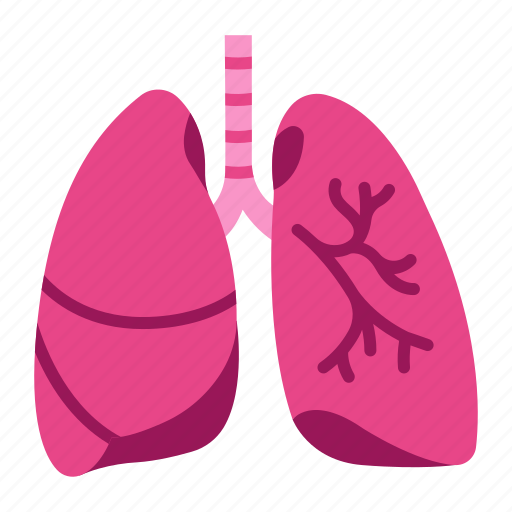 Body, health, human, internal, lung, medical, organ icon - Download on Iconfinder