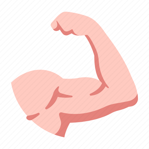 Arm, exercise, fitness, muscle, power, strength, strong icon - Download on Iconfinder