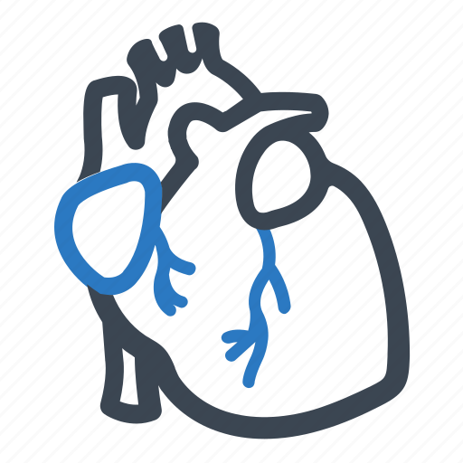 Cardiology, heart, organ icon - Download on Iconfinder