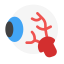 eyeball, eye, organ, human, body, healthcare, and, medical 