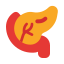 pancreas, human, body, anatomy, organ, healthcare, and, medical 