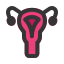uterus, ovary, anatomy, reproductive, system, organ 