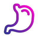 stomach, organ, anatomy, gastroenterology, healthcare, and, medical