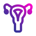 uterus, ovary, anatomy, reproductive, system, organ