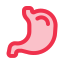 stomach, organ, anatomy, gastroenterology, healthcare, and, medical 