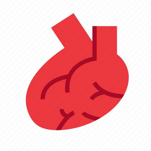 Body, heart, human, organ icon - Download on Iconfinder