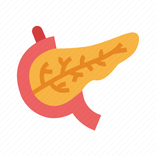 Body, human, organ, pancreas icon - Download on Iconfinder