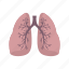 chest, human, lung, lungs, pneumonia, system, vascular 