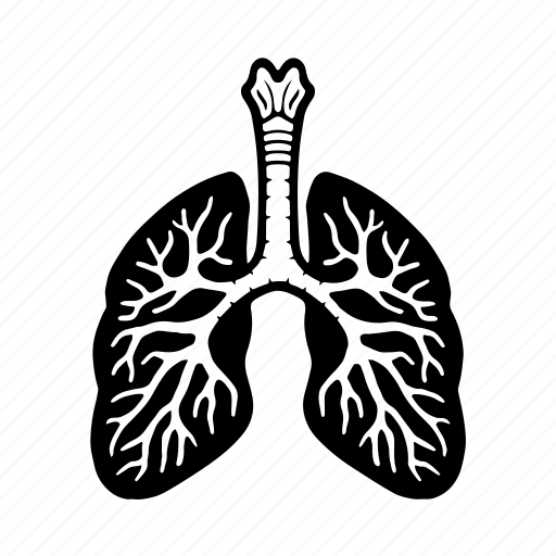 Internal, organ, anatomy, healthcare, medical, human, lungs icon - Download on Iconfinder