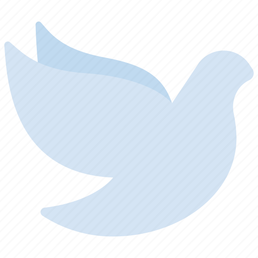Peace, dove, bird, charity, philanthropy, birds icon - Download on Iconfinder
