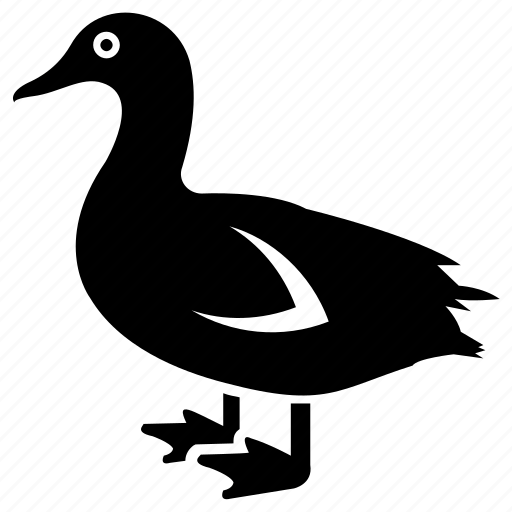 Animal, aquatic bird, duck, goose, swan icon - Download on Iconfinder
