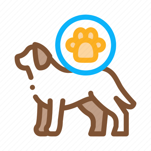 Camera, deer, dog, equipment, footprint, hunting, magnifier icon - Download on Iconfinder