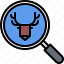 deer, search, magnifier, hunter, hunting