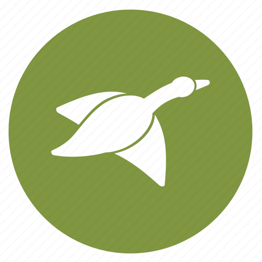Animal, animals, duck, duck hunting, fowl icon - Download on Iconfinder