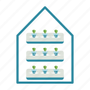 hydroponic, greenhouse, glasshouse, gardening, agriculture