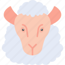 sheep, agriculture, animal, farm, wool