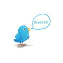 bird, twitter
