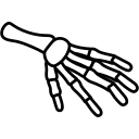 hand, skeleton, wrist, joint, human, arm, bone, finger, medical
