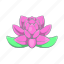 cartoon, flower, india, lily, lotus, pink, plant 