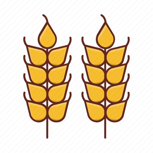 Grain, wheat, indian, culture, food icon - Download on Iconfinder
