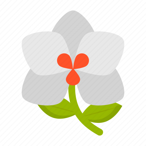 National flower, flora, indonesian flower, melati putih, lily, flower icon - Download on Iconfinder
