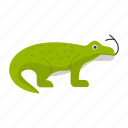 komodo dragon, reptile, alligator, crocodile, sea animal, national animal, indonesian 