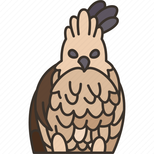 Hawk, eagle, java, bird, wildlife icon - Download on Iconfinder