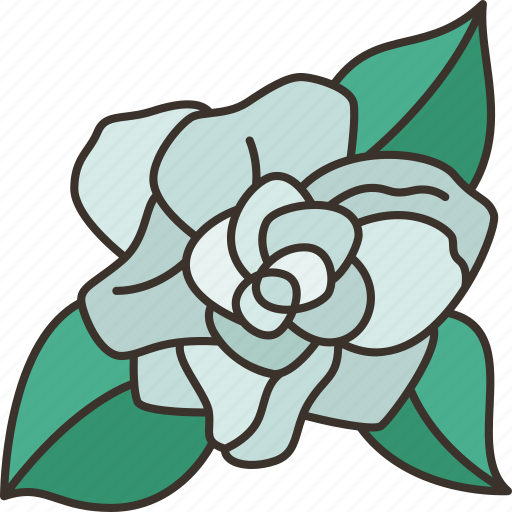 Melati, putih, flower, blossom, aroma icon - Download on Iconfinder