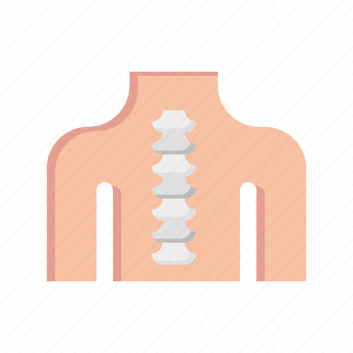 Spine, anatomy, healthcare, medical, body icon - Download on Iconfinder