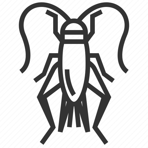 Cricket, animal, bug, insect icon - Download on Iconfinder