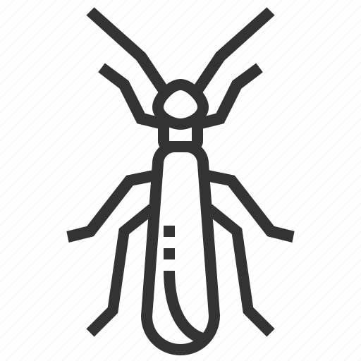 Stonefly, animal, bug, insect icon - Download on Iconfinder