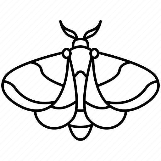 Beautiful, furry, maple, moth, rosy icon - Download on Iconfinder