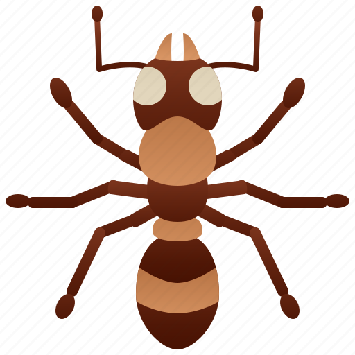 Animal, ant, insect, pest, worker icon - Download on Iconfinder