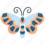 butterfly, glasswing, invertebrate, transparent, wing 