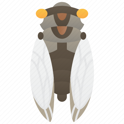 Arthropods, cicada, entomology, forest, sound icon - Download on Iconfinder