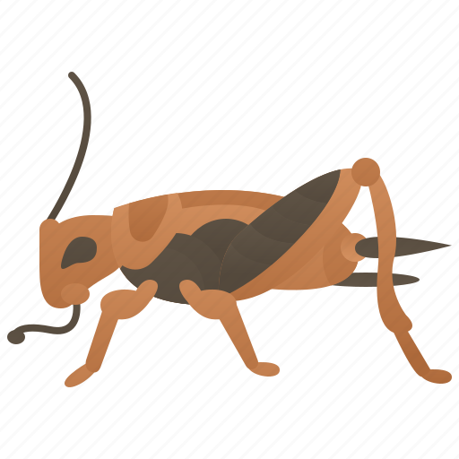 Bugs, chirping, cricket, gryllidae, insect icon - Download on Iconfinder